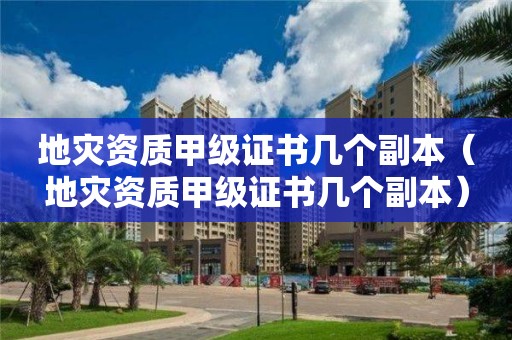 甲级证书几个副本）