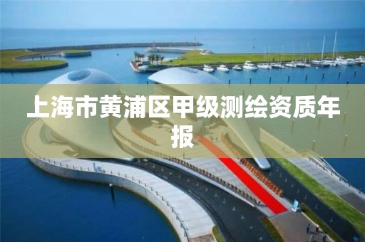 上海市黄浦区甲级测绘资质年报