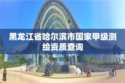 黑龙江省哈尔滨市国家甲级测绘资质查询 黑龙江省哈尔滨市国家甲级测绘资质查询