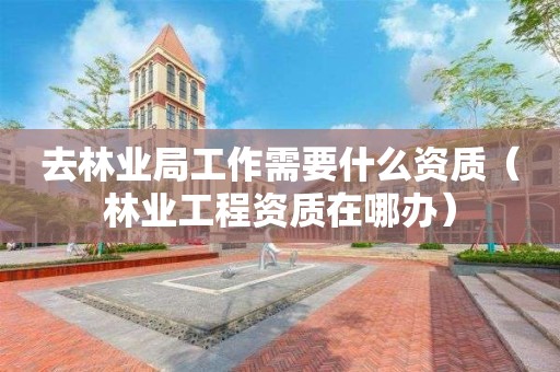 去林业局工作需要什么资质（林业工程资质在哪办）