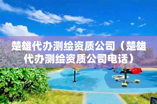楚雄代办测绘资质公司（楚雄代办测绘资质公司电话）