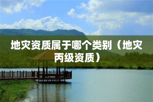 属于哪个类别（地灾丙级资质）