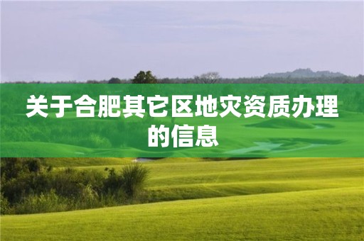 关于合肥其它区办理的信息