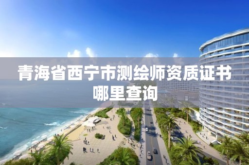 青海省西宁市测绘师资质证书哪里查询