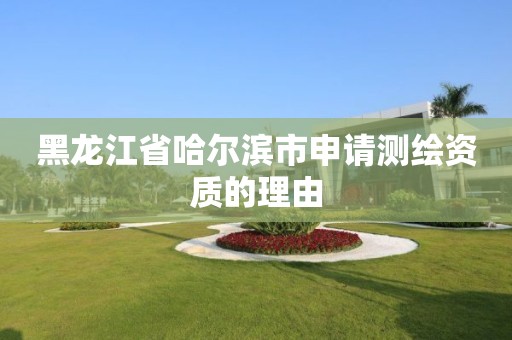 黑龙江省哈尔滨市申请测绘资质的理由