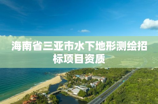 海南省三亚市水下地形测绘招标项目资质