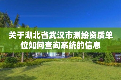 关于湖北省武汉市测绘资质单位如何查询系统的信息
