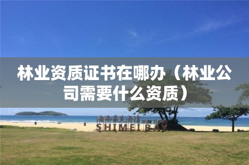 林业资质证书在哪办（林业公司需要什么资质）