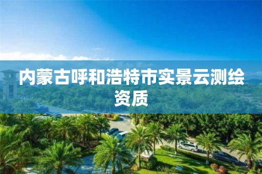 内蒙古呼和浩特市实景云测绘资质 内蒙古呼和浩特市实景云测绘资质
