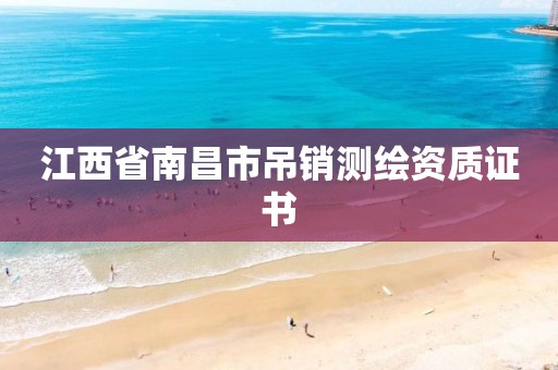 江西省南昌市吊销测绘资质证书