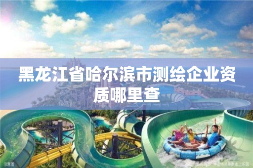 黑龙江省哈尔滨市测绘企业资质哪里查 黑龙江省哈尔滨市测绘企业资质哪里查