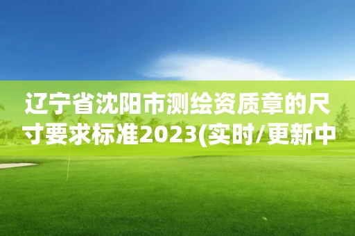 辽宁省沈阳市测绘资质章的尺寸要求标准2023(实时/更新中)
