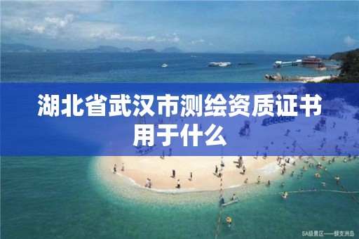 湖北省武汉市测绘资质证书用于什么