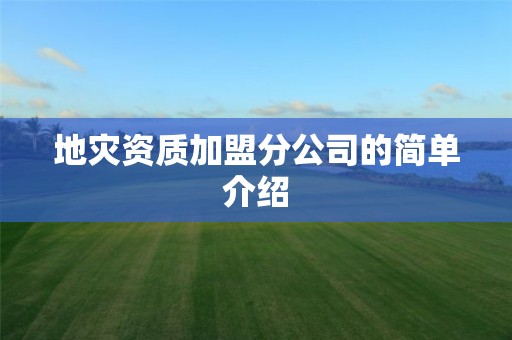 加盟分公司的简单介绍