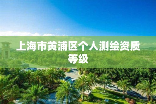 上海市黄浦区个人测绘资质等级 上海市黄浦区个人测绘资质等级