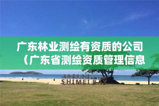 广东林业测绘有资质的公司(广东省测绘资质管理信息系统)