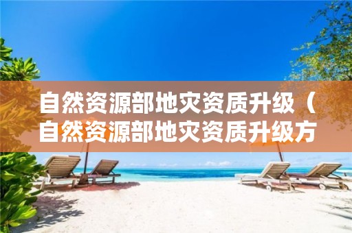 自然资源部升级方案）