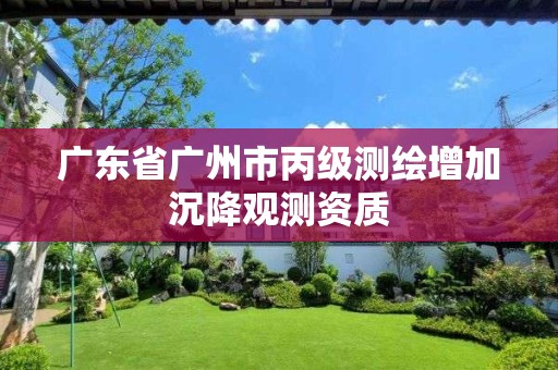 广东省广州市丙级测绘增加沉降观测资质