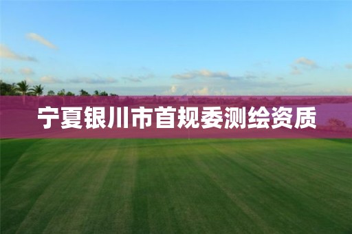 宁夏银川市首规委测绘资质 宁夏银川市首规委测绘资质