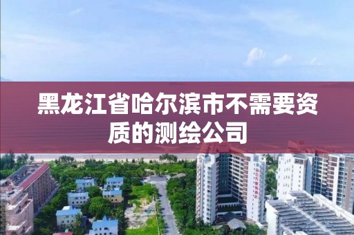 黑龙江省哈尔滨市不需要资质的测绘公司