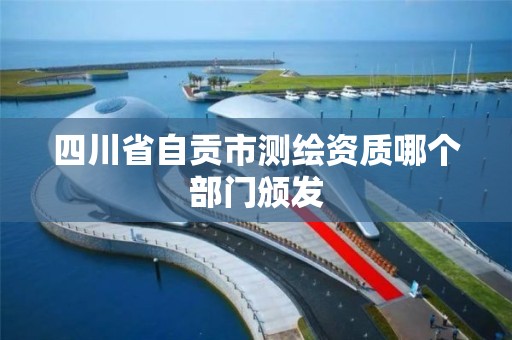 四川省自贡市测绘资质哪个部门颁发 四川省自贡市测绘资质哪个部门颁发