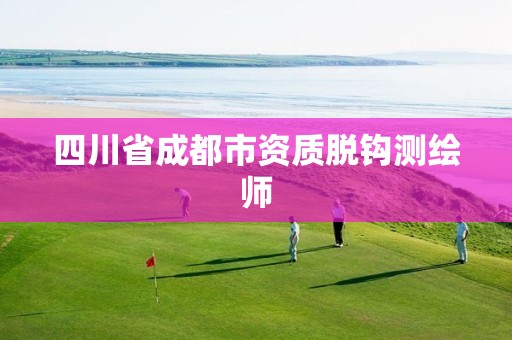 四川省成都市资质脱钩测绘师