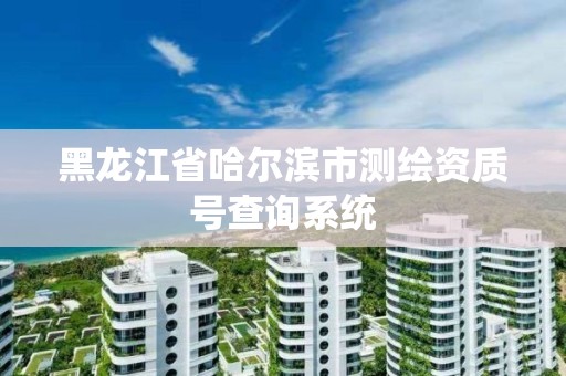 黑龙江省哈尔滨市测绘资质号查询系统
