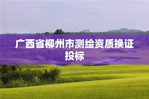 广西省柳州市测绘资质换证投标 广西省柳州市测绘资质换证投标