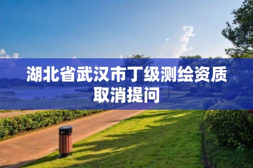 湖北省武汉市丁级测绘资质取消提问