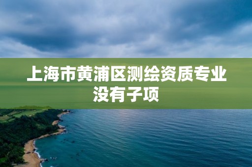 上海市黄浦区测绘资质专业没有子项
