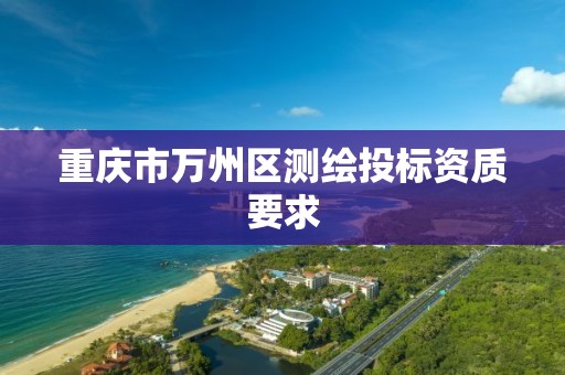 重庆市万州区测绘投标资质要求