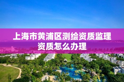 上海市黄浦区测绘资质监理资质怎么办理 上海市黄浦区测绘资质监理资质怎么办理