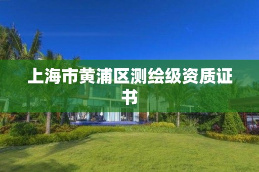 上海市黄浦区测绘级资质证书