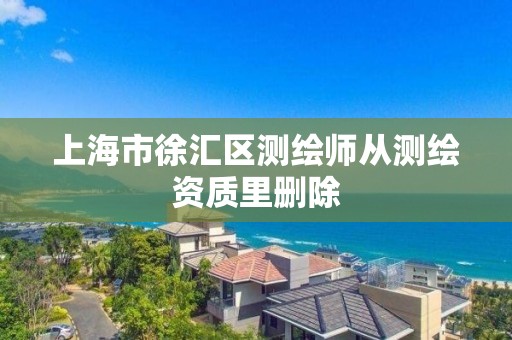 上海市徐汇区测绘师从测绘资质里删除