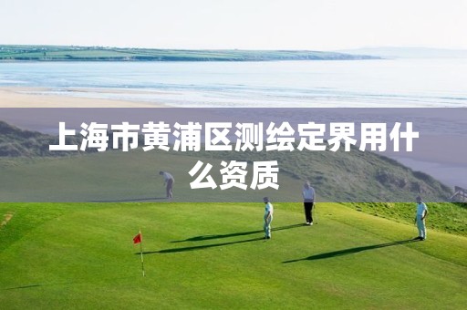 上海市黄浦区测绘定界用什么资质 上海市黄浦区测绘定界用什么资质