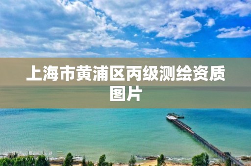 上海市黄浦区丙级测绘资质图片 上海市黄浦区丙级测绘资质图片