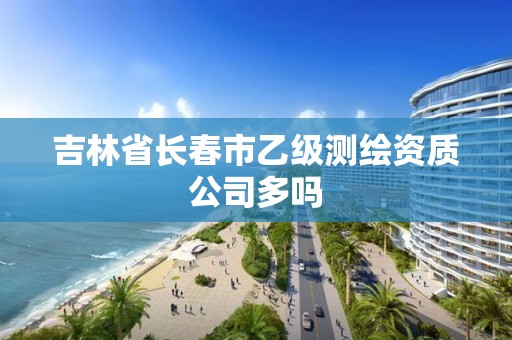 吉林省长春市乙级测绘资质公司多吗