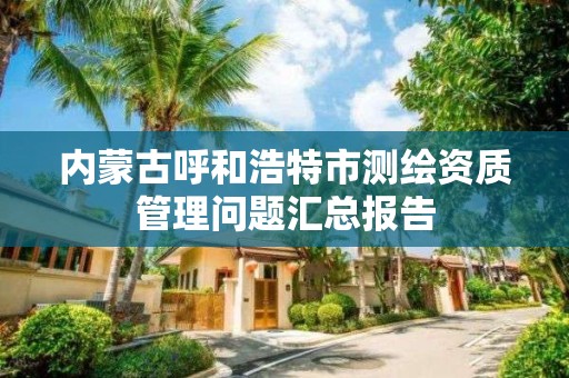 内蒙古呼和浩特市测绘资质管理问题汇总报告