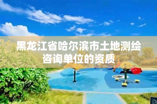 黑龙江省哈尔滨市土地测绘咨询单位的资质 黑龙江省哈尔滨市土地测绘咨询单位的资质