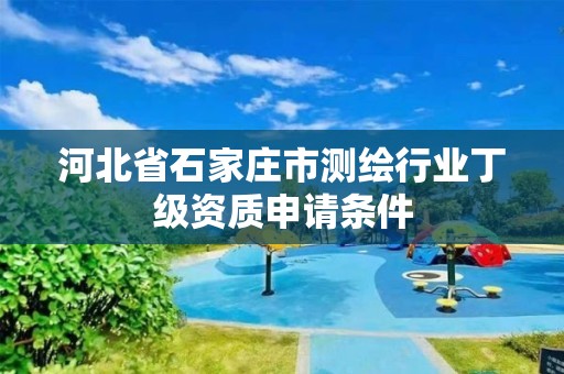 河北省石家庄市测绘行业丁级资质申请条件
