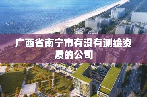 广西省南宁市有没有测绘资质的公司 广西省南宁市有没有测绘资质的公司