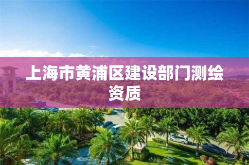 上海市黄浦区建设部门测绘资质