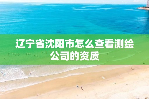 辽宁省沈阳市怎么查看测绘公司的资质