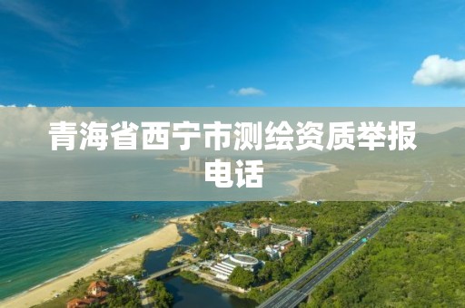 青海省西宁市测绘资质举报电话 青海省西宁市测绘资质举报电话