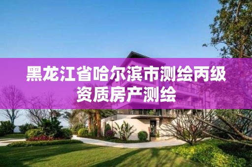 黑龙江省哈尔滨市测绘丙级资质房产测绘