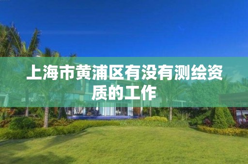 上海市黄浦区有没有测绘资质的工作