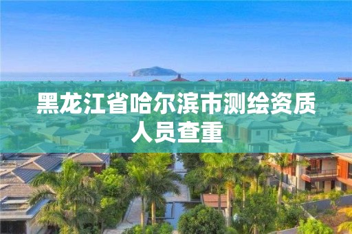 黑龙江省哈尔滨市测绘资质人员查重