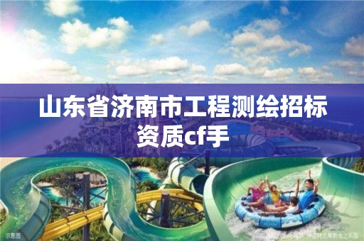 山东省济南市工程测绘招标资质cf手