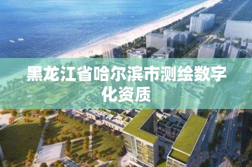 黑龙江省哈尔滨市测绘数字化资质
