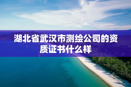 湖北省武汉市测绘公司的资质证书什么样